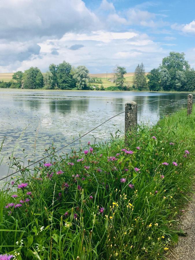 L'Echappée Ardennaise - Gîte 6 places tout confort Semuy Esterno foto
