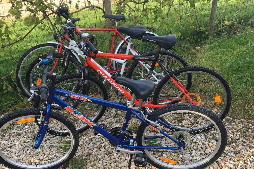 L'Echappée Ardennaise - Gîte 6 places tout confort Semuy Esterno foto